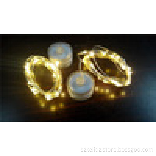 LED Seed Lights Warm White 2 meter20leds
